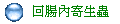 回腸內寄生蟲