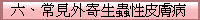 六、常見外寄生蟲性皮膚病